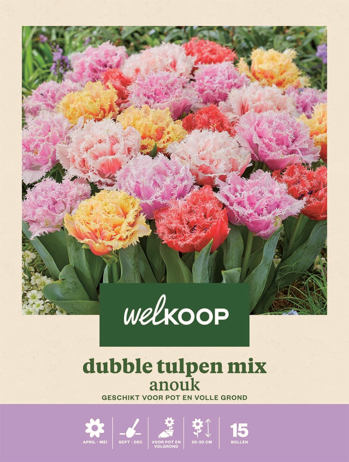 Welkoop Dubbele Tulpen mix Anouk - Bloembollen