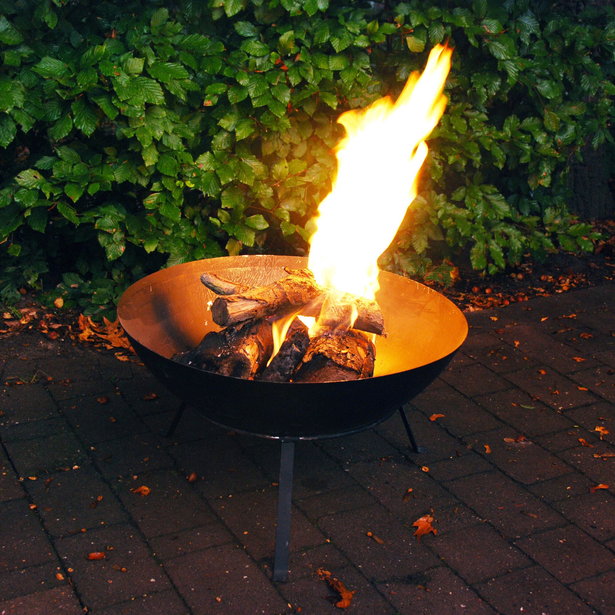 Esschert Fancy Flames Op voet - Vuurschaal - Rond - Zwart - Metaal