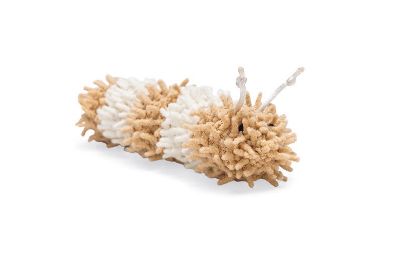 Beeztees Rups Bobba - Kattenspeeltje - Bruin