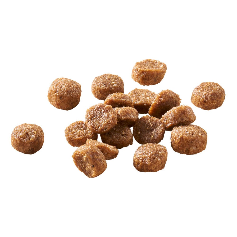 Welkoop Senior oudere katten - Kattenvoer - 4 Kilogram - gevogelte