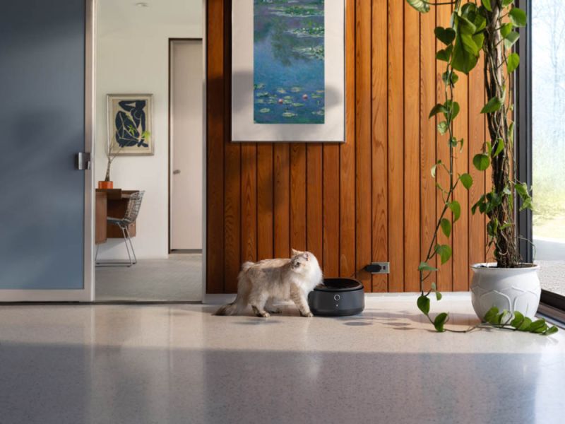 PETLIBRO Polar natvoer met wifi - Automatische voerbak - Zwart