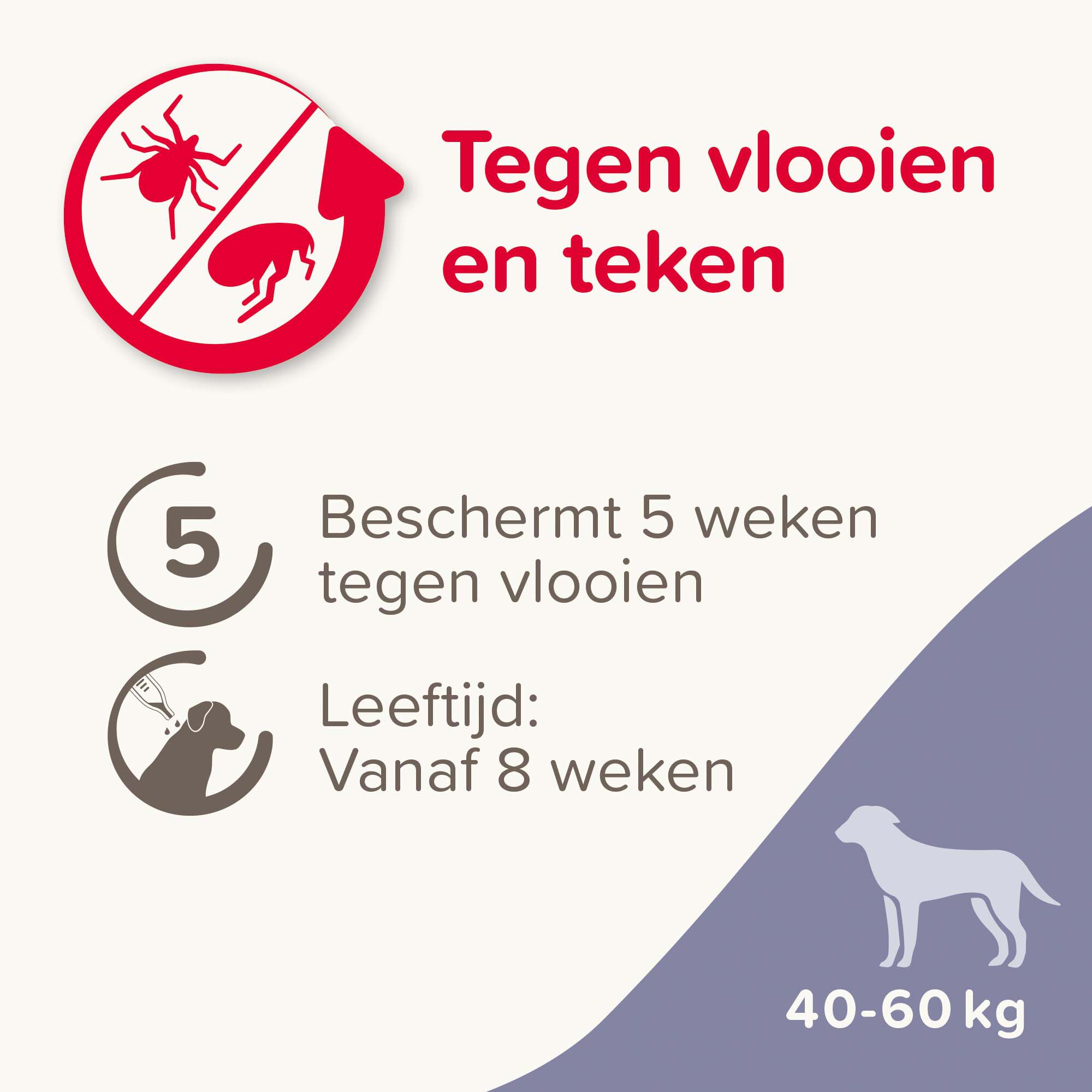 Beaphar Fiprotec Pipet - Anti Vlooien en teken - Hond - 4 Stuks - XL