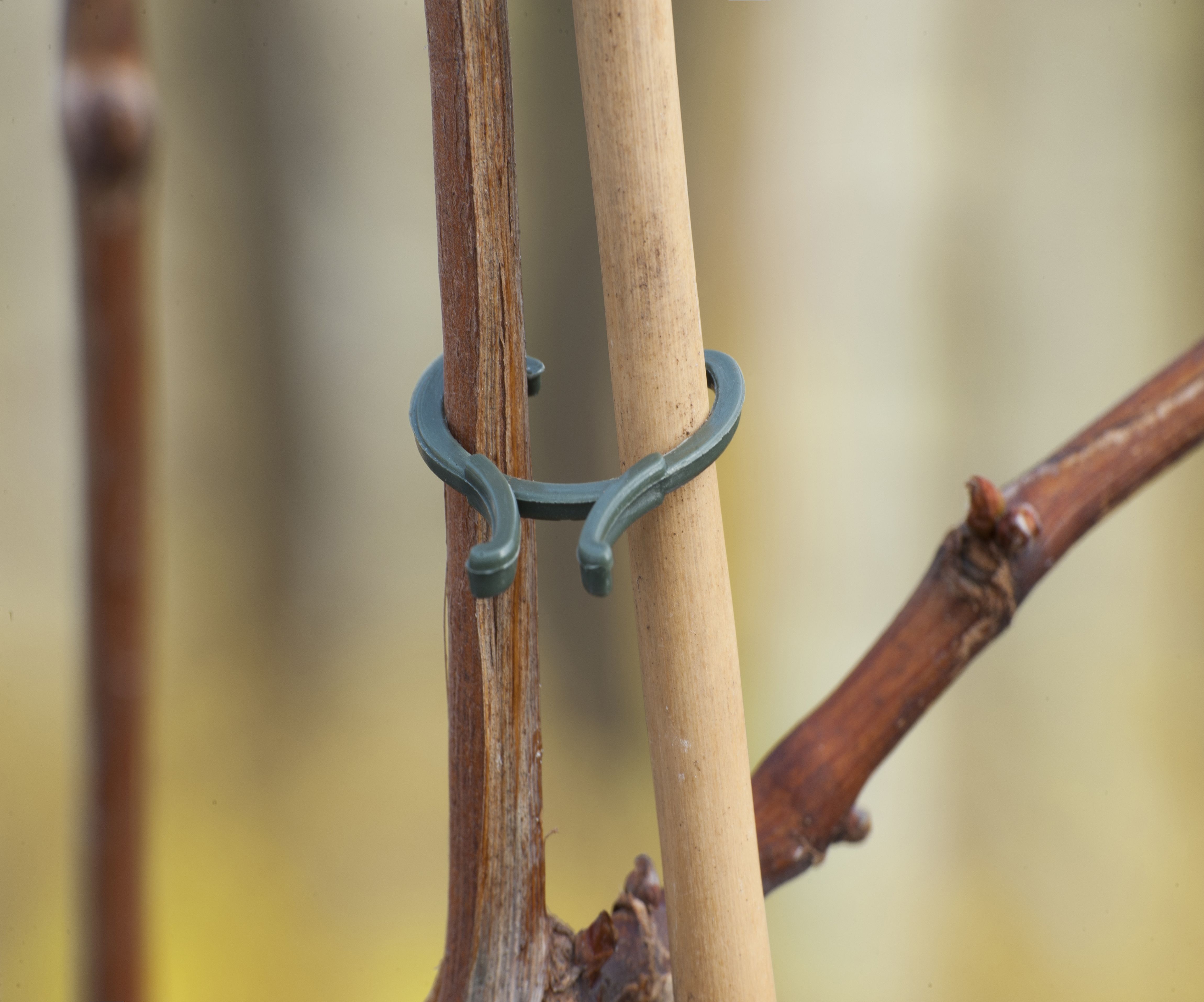 Nature Plastiband - Touw en Bindmaterialen