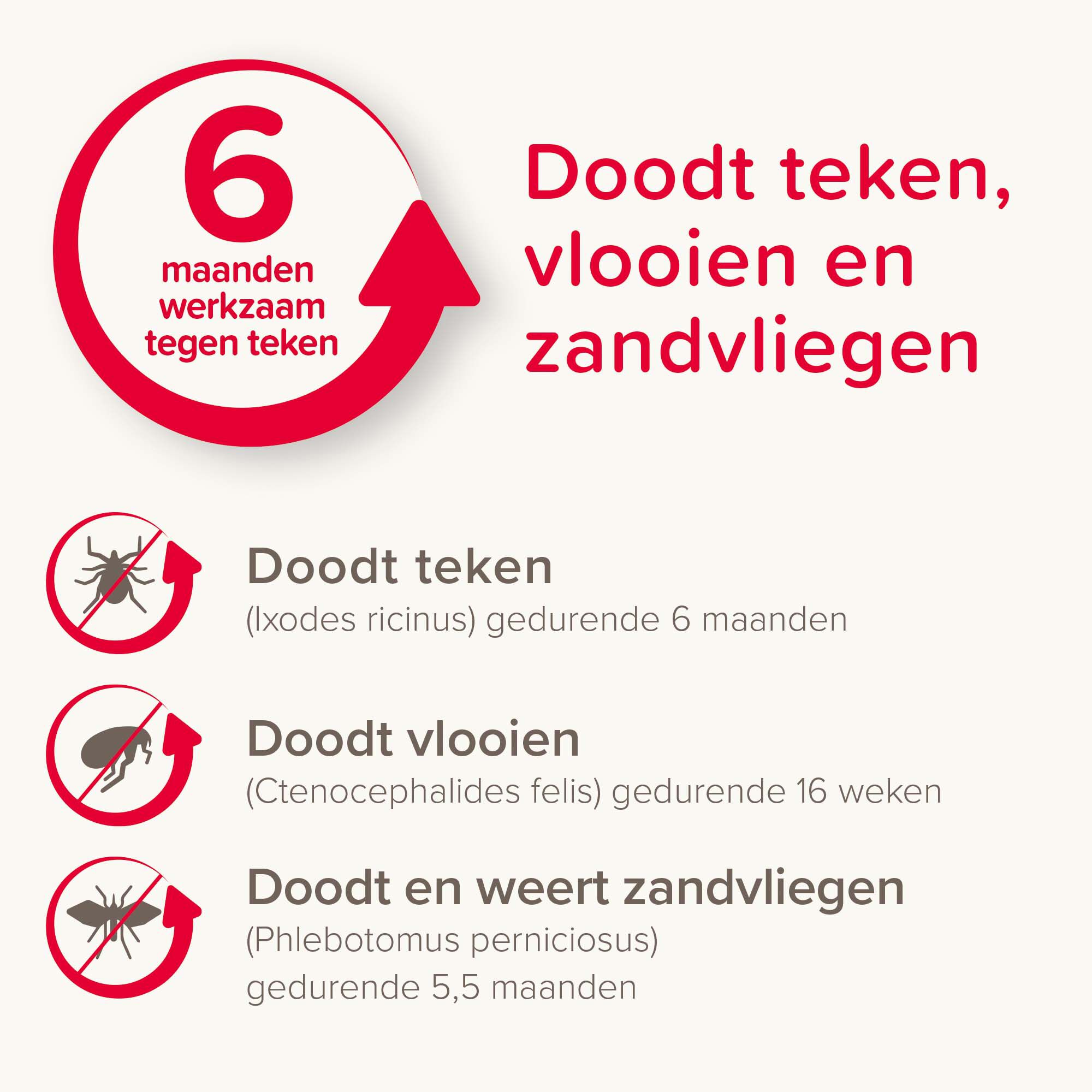 Beaphar Canishield - Anti Vlooien en Tekenband Hond - Groot - L