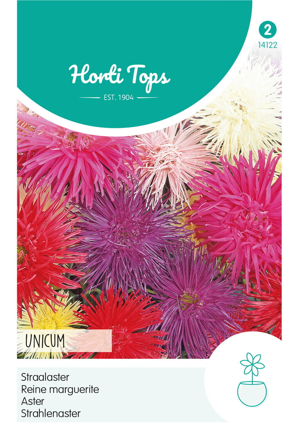 Hortitops Straalaster Unicum - Bloemzaden