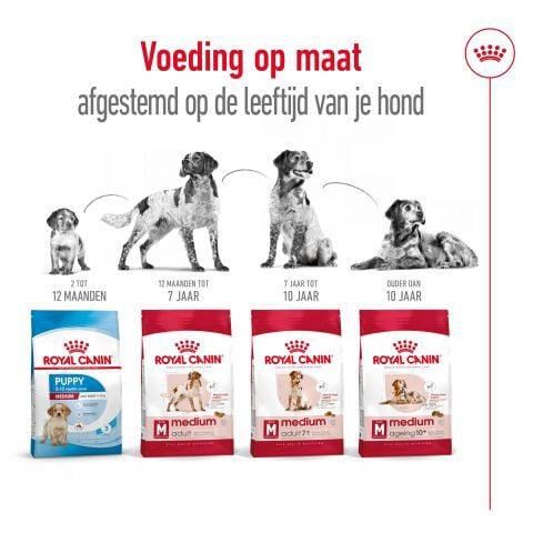 Royal Canin Medium Adult - Hondenvoer - 12 Kilogram - gevogelte