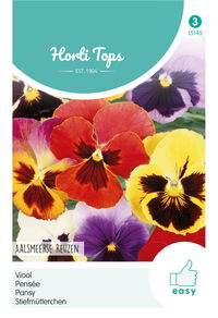 Hortitops Viool Aalsmeerse Reuzen - Bloemzaden