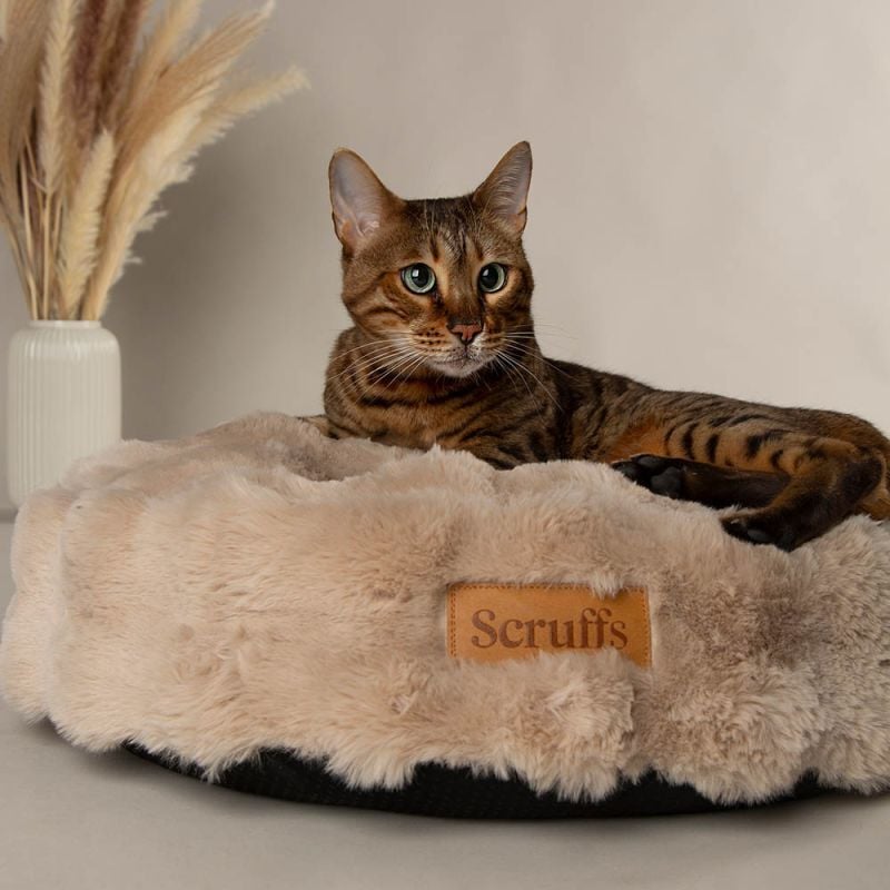 Scruffs Alpine - Kattenmand - Wit - 12x50x50 cm - XS