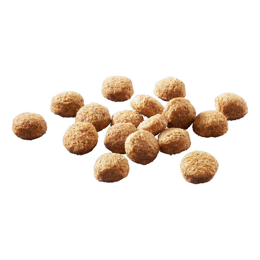 Welkoop Select Senior Krokante brokken - Hondenvoer - 3 Kilogram - Lam & rijst