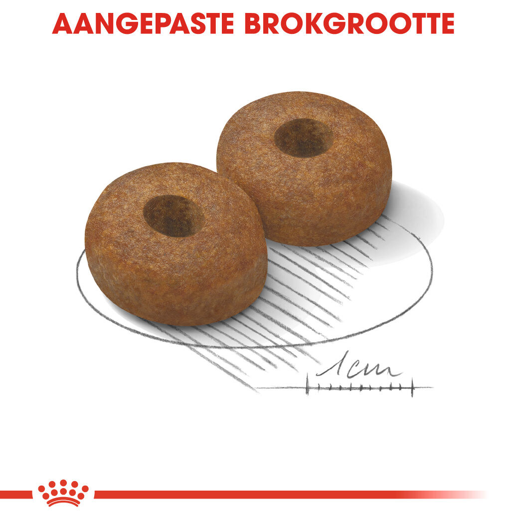 Royal Canin Maxi Ageing 8+ - Hondenvoer - 3 Kilogram - gevogelte