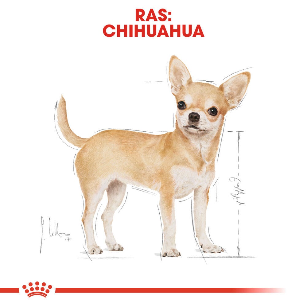Royal Canin Chihuahua Adult Pouch  - Hondenvoer - 12x85 gram - 1020 Gram - gevogelte