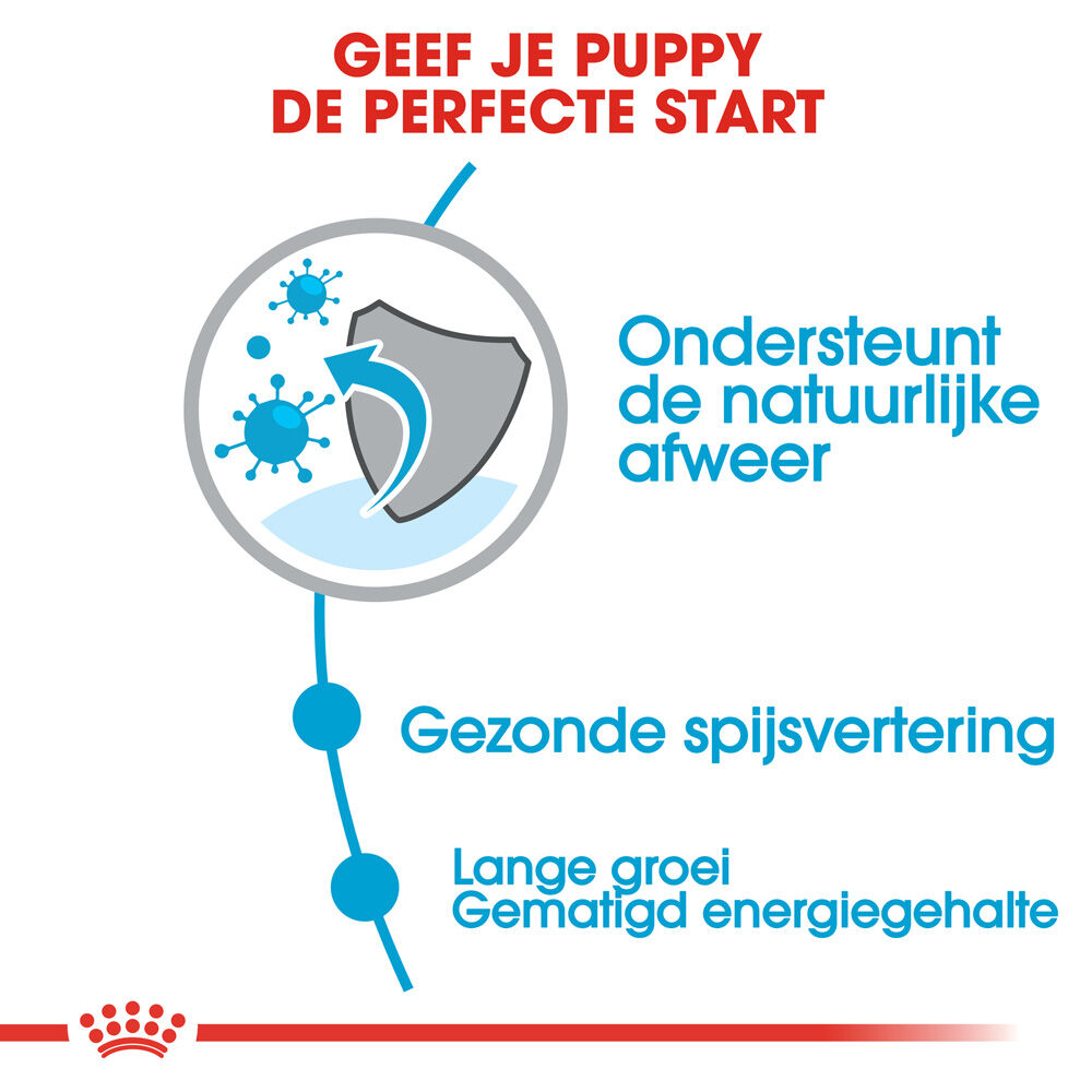 Royal Canin SHN Maxi puppy - Hondenvoer - 15 Kilogram - gevogelte
