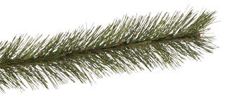 Triumph Tree Forest Frosted Pine - Kunstkerstboom - Groen - 120 cm