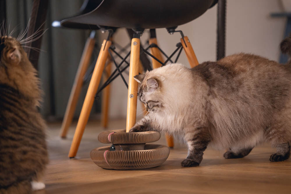 Beeztees Loet - Krabspeelgoed - Roze - 1x24x1 cm