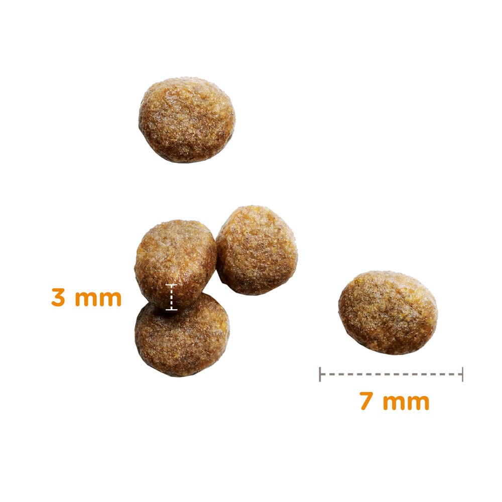Iams Kitten & Junior - Kattenvoer - 3 Kilogram - kip