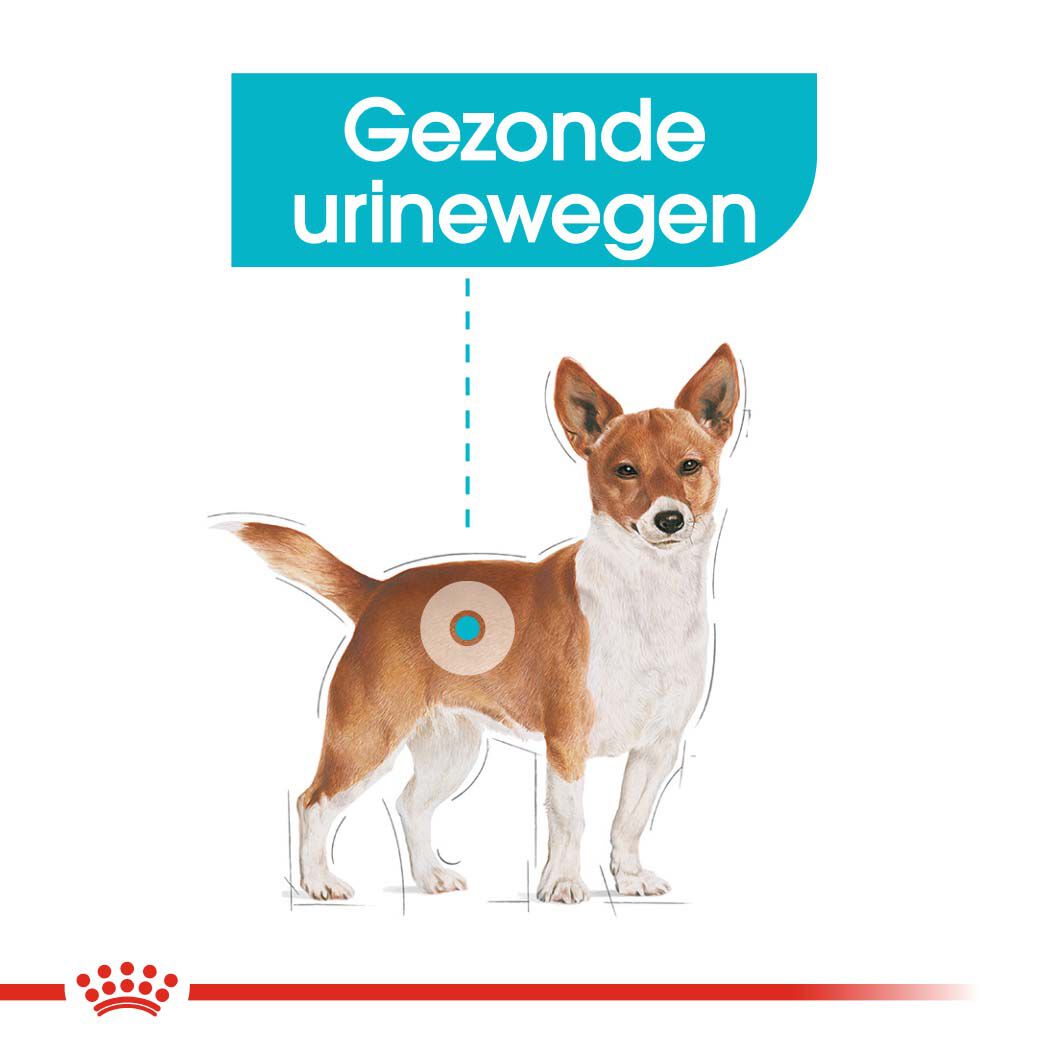Royal Canin Urinary Care Mini - Hondenvoer - 1 Kilogram - gevogelte