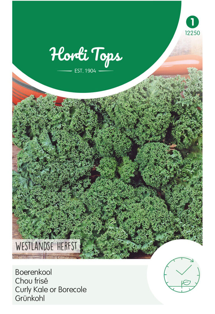 Hortitops Boerenkool Brassica oleracea Westlandse Herfst, laat type - Groentezaden