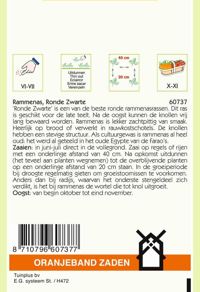 Oranjeband zaden Rammenas Ronde Zarte - Groentezaden