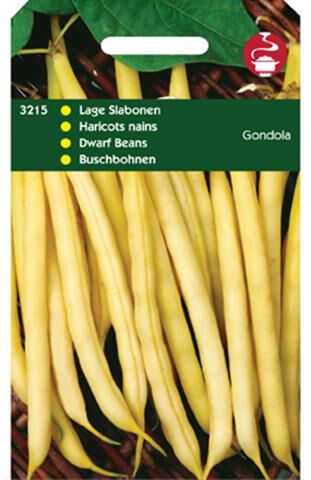 Hortitops Stamslabonen Phaseolus vulgaris Gondola (Wasboon witzadig) - Sla- of sperziebonen