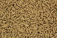 Subli Veulenbrok - Fokkerij - 20 Kilogram - Zak