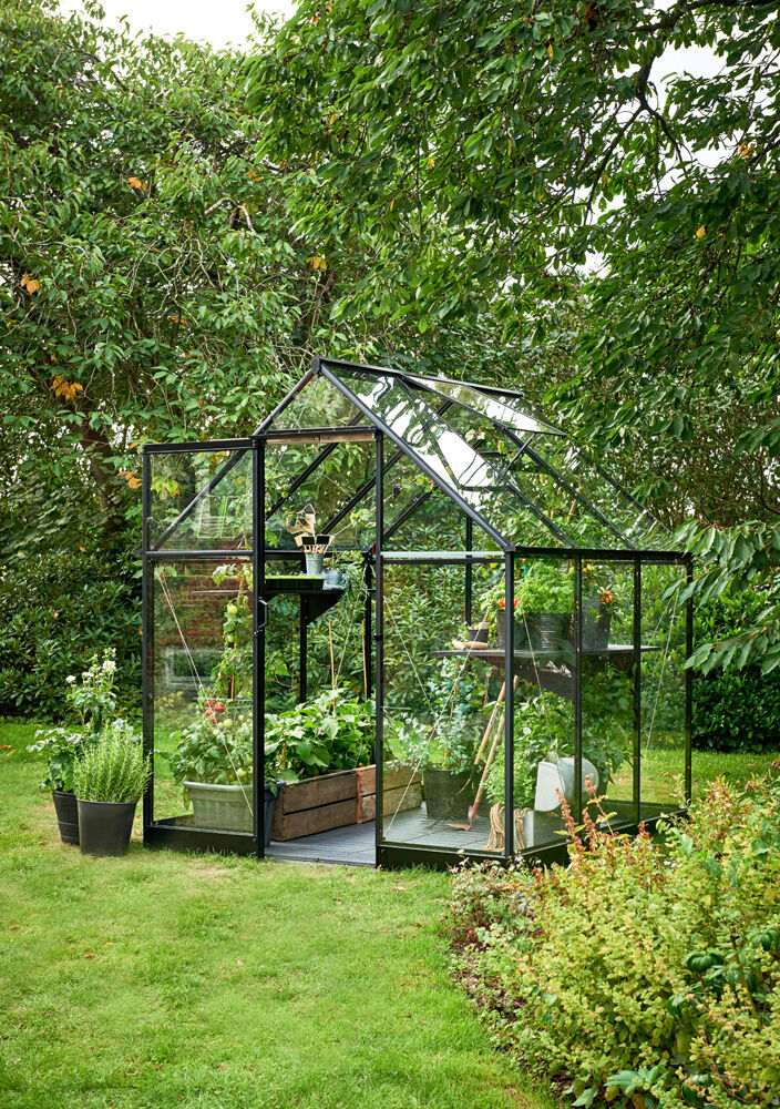 Halls Qube 66 - Tuinkas - zwart - 219x198x198 cm - Veiligheidsglas