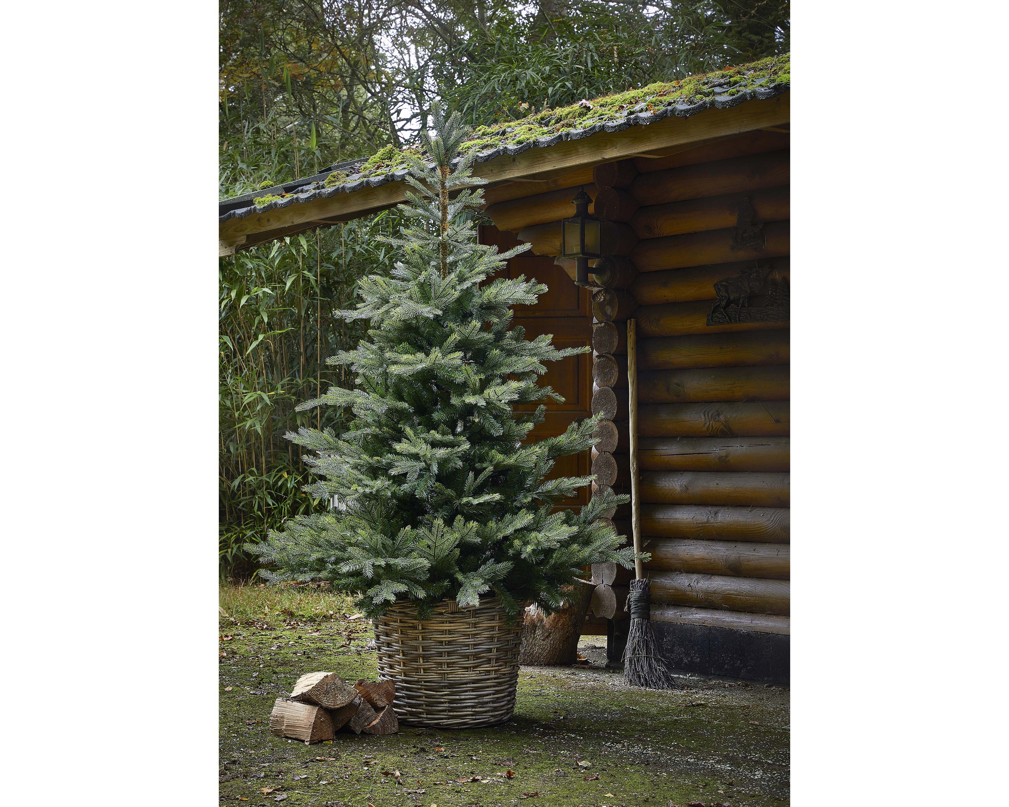 Everlands Grandis Fir - Kunstkerstboom - Groen - 240 cm