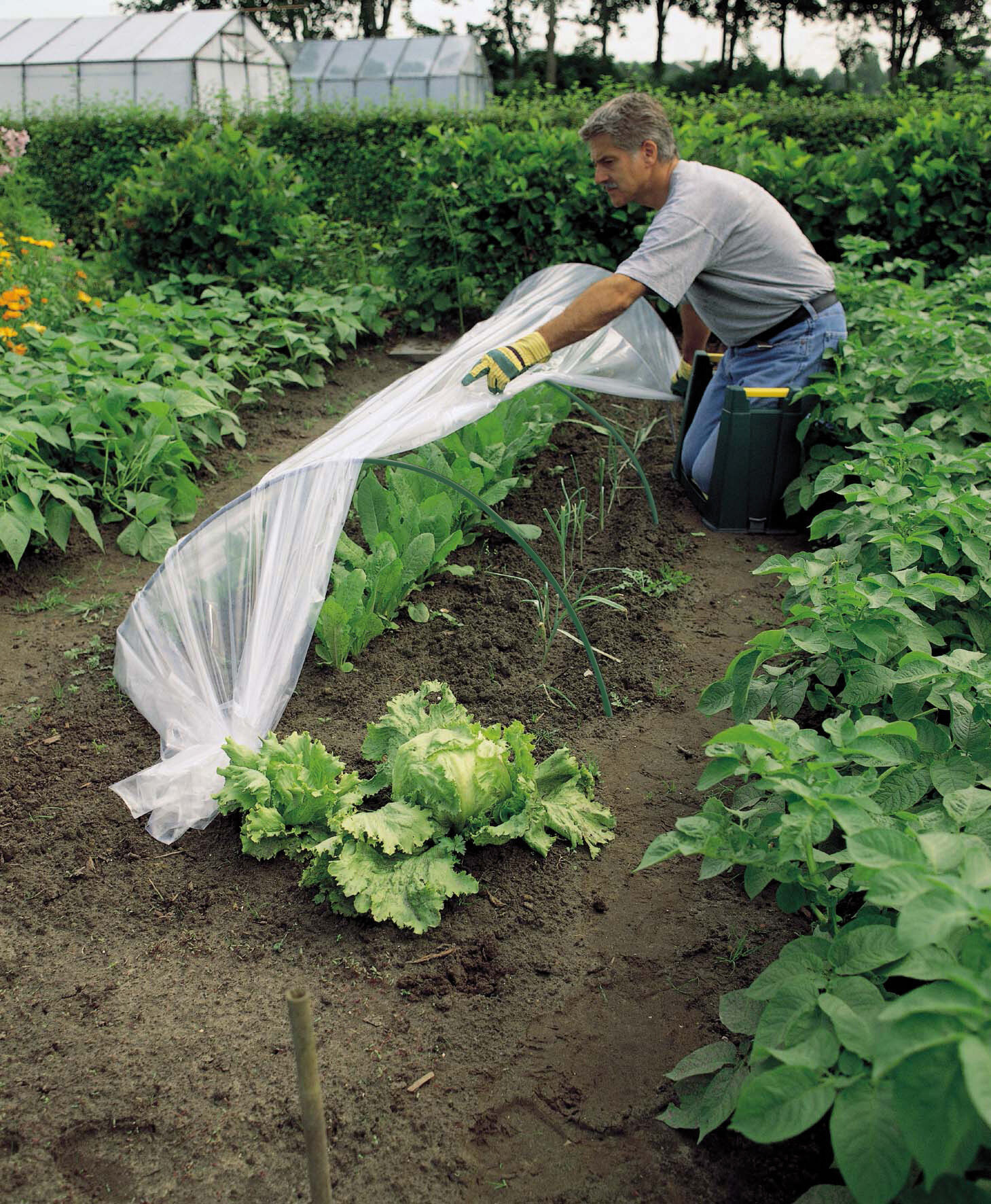 Nature 56X85cm - Tunnelboog - Groen - 66x103x180 cm