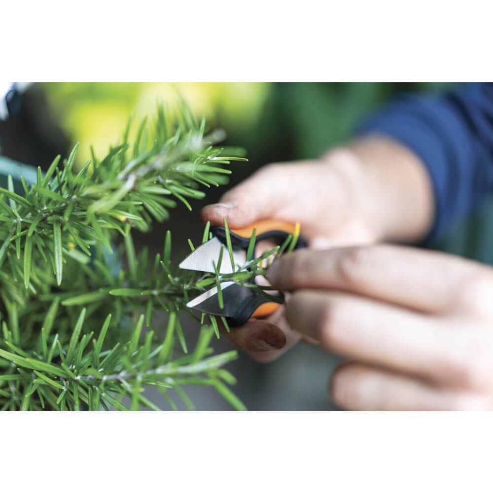 Fiskars SOLID SP-220 - Kruidenschaar