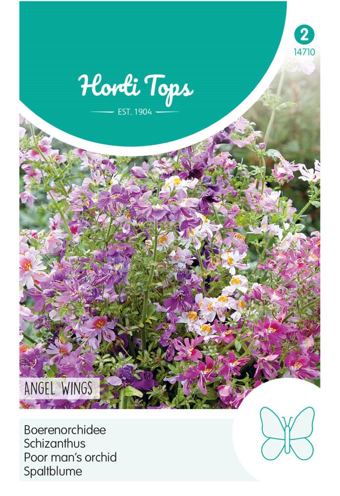 Hortitops Boerenorchidee Angel WIngs - Bloemzaden Hortitops Boerenorchidee Angel WIngs - Bloemzaden