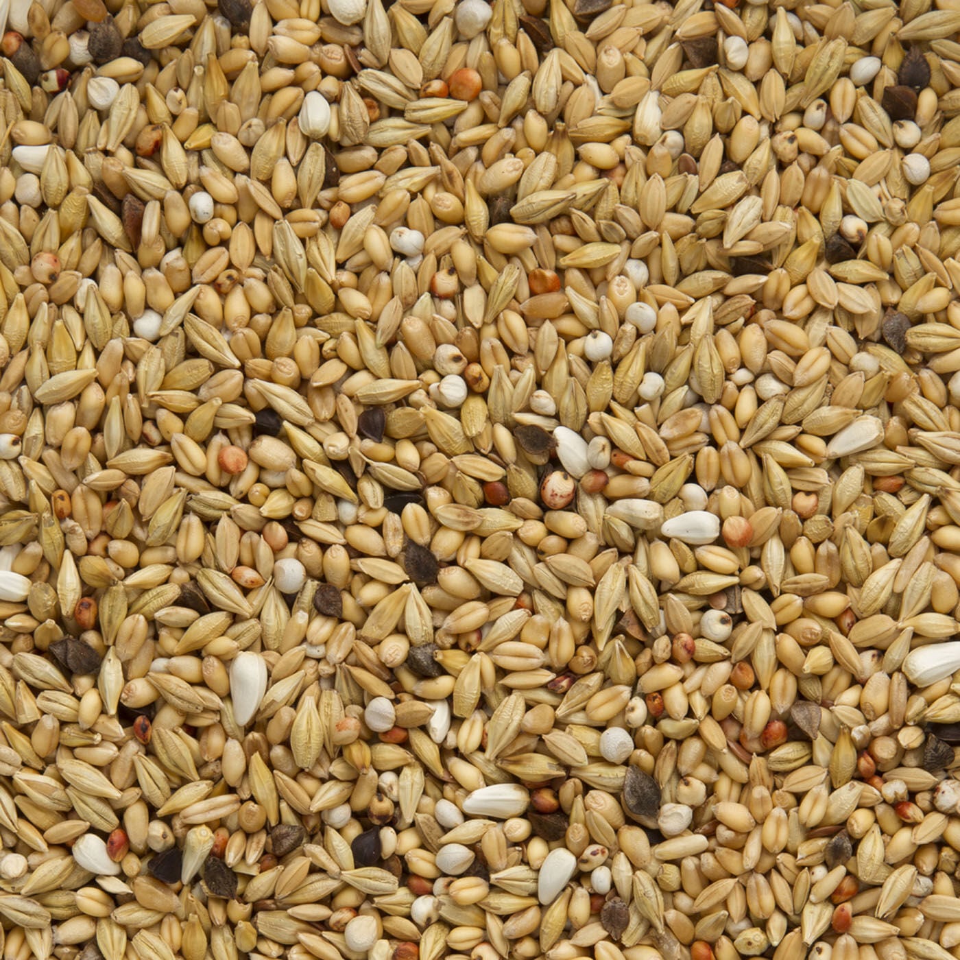 Beyers Original Super Zuivering - Duivenvoer - 25 Kilogram