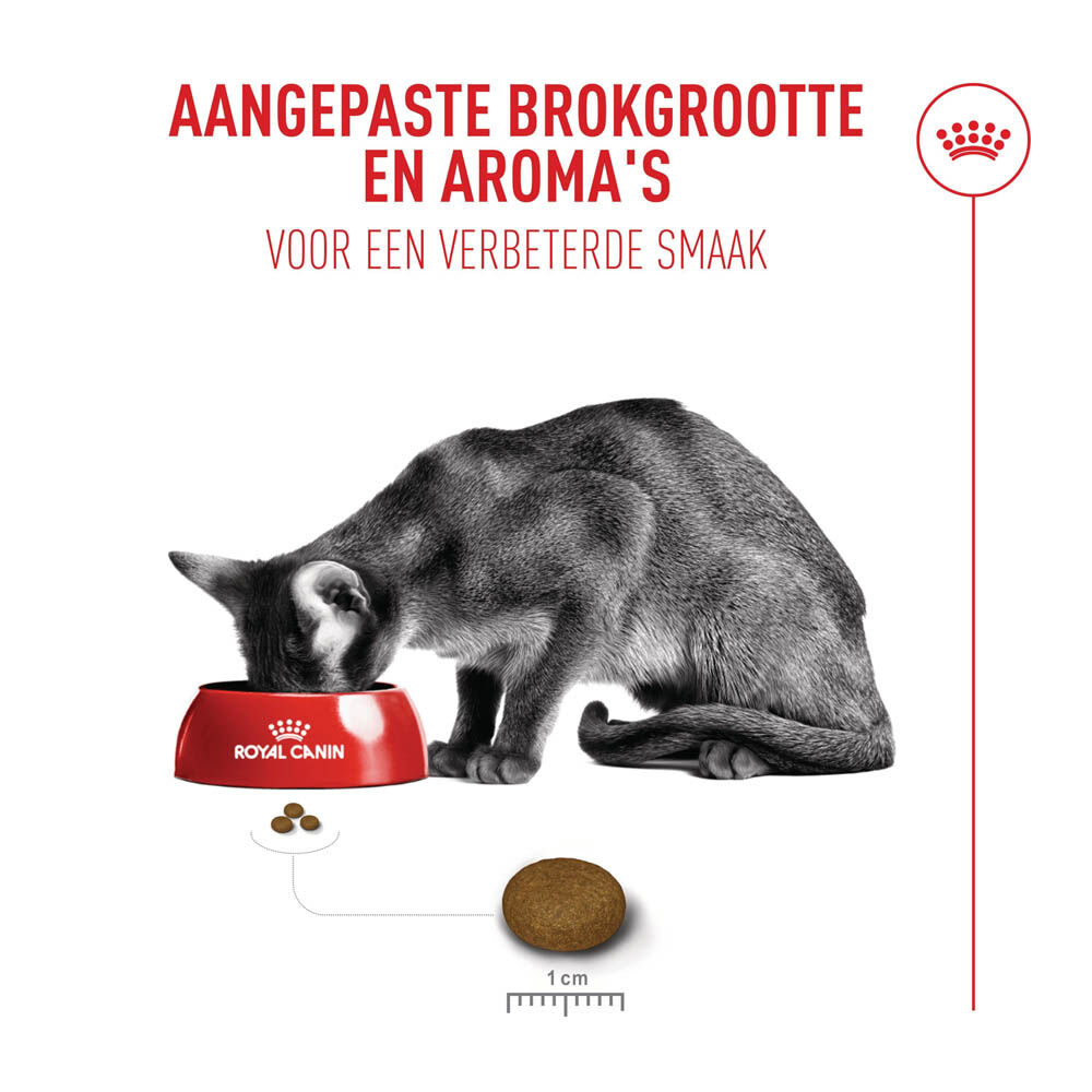 Royal Canin Fussy Exigent - Kattenvoer - 4 Kilogram