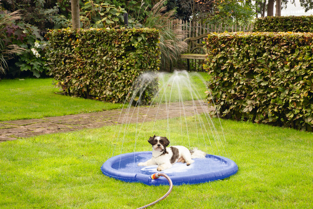 Beeztees Stay cool - Sprinkler mat -Waterspeelgoed hond - blauw - 27.8x100x4.7 cm