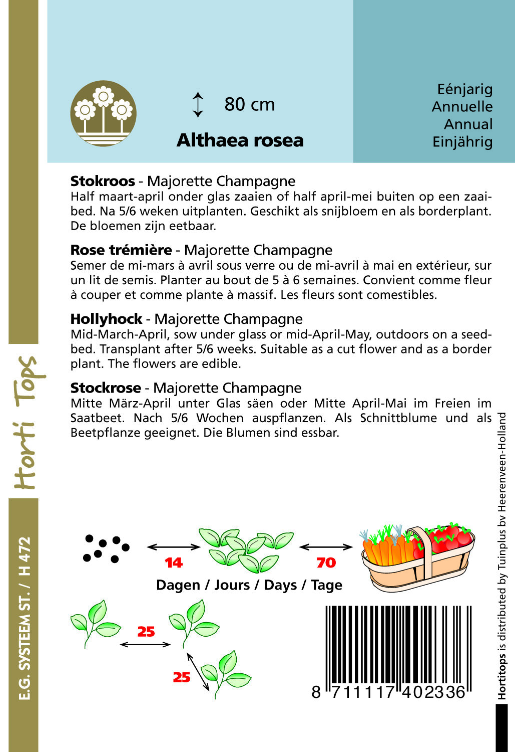 Hortitops Stokroos Majorette Champagne Althaea rosea - Bloemzaden