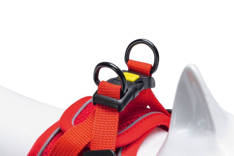 Beeztees Parinca - Kattentuigje - Rood - S-M