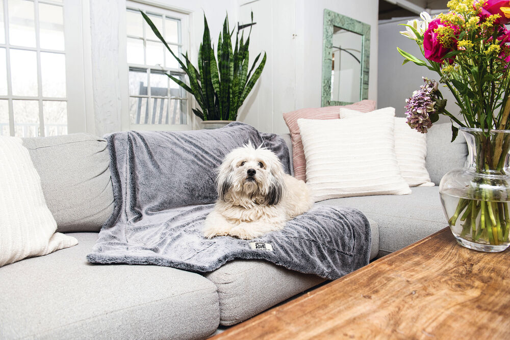 Dog Gone Smart Nano Chill Kuzzi Infrarood - Hondendeken - Grijs - 1x102x76 cm - Groot