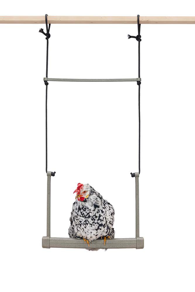 Beeztees Schommel - Kippenschommel