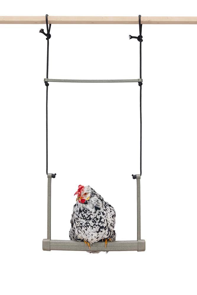 Beeztees Schommel - Kippenschommel - Grijs Groen Beeztees Schommel - Kippenschommel - Grijs Groen
