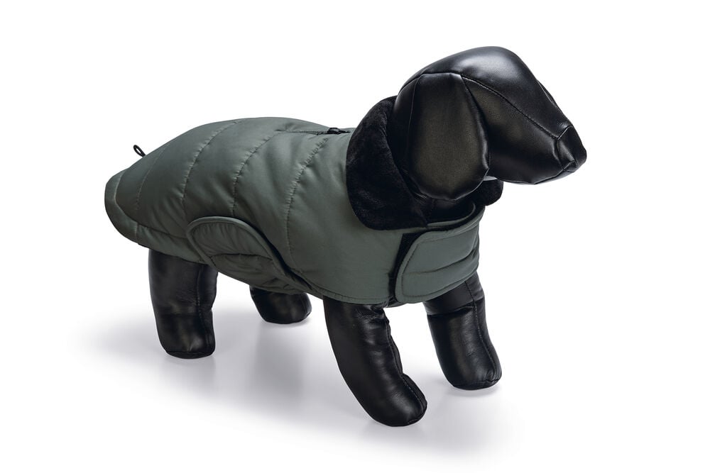 Designed By Lotte Zhanti - Hondenjas - groen - 2XL