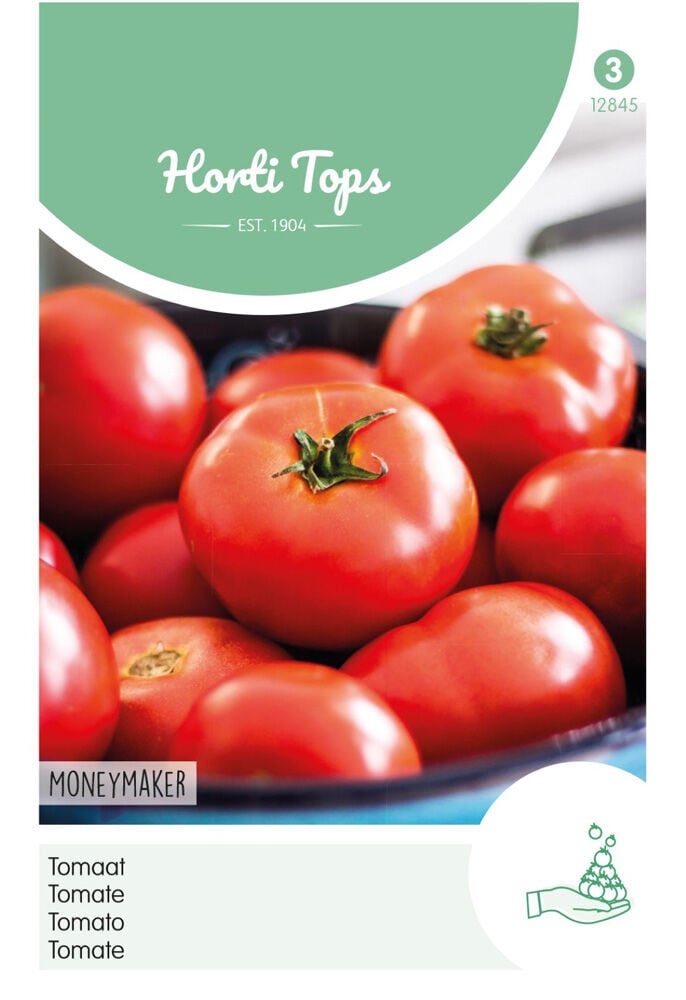 Hortitops Tomaten Solanum lycopersicum L. (syn L. esculentum) Moneymaker - Groentezaden