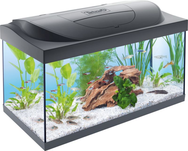 Tetra Starter line - Aquarium