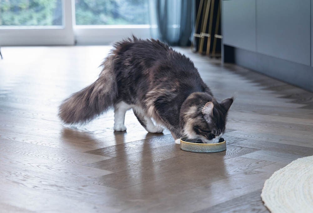 Designed by Lotte Jace - Voerbak - 300 l - Groen - 3x15x15 cm - 15 cm