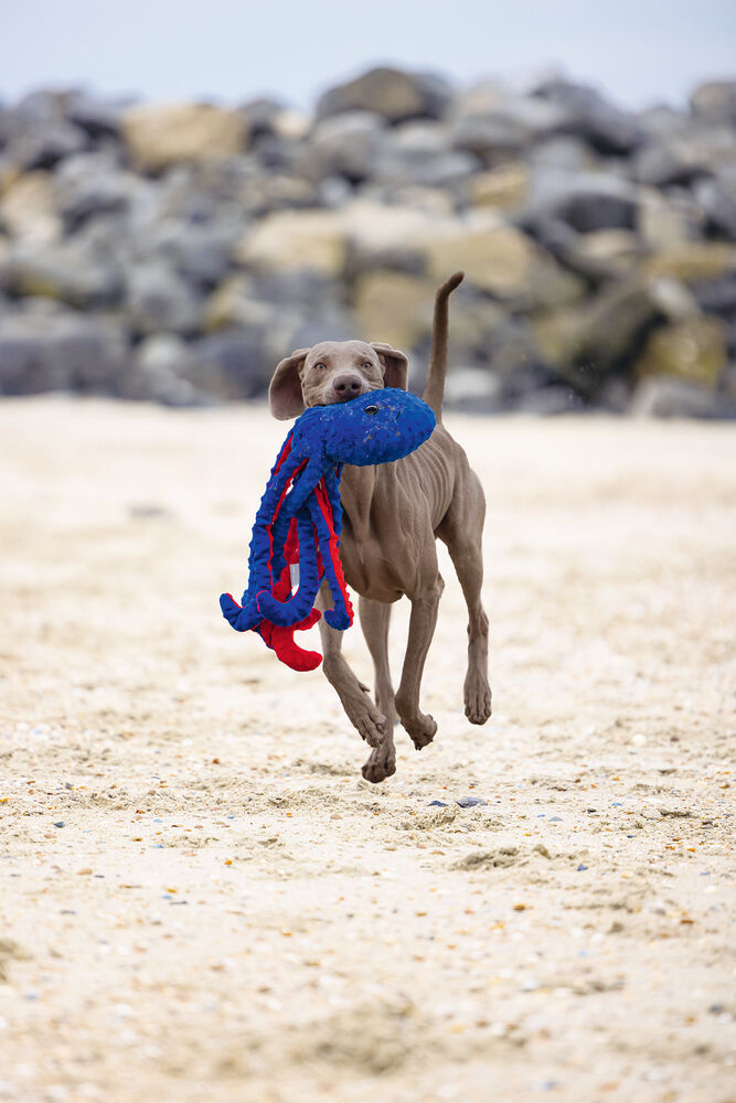 Beeztees Octopus Amy Knuffel - Hondenspeelgoed - blauw - 5x16x56 cm