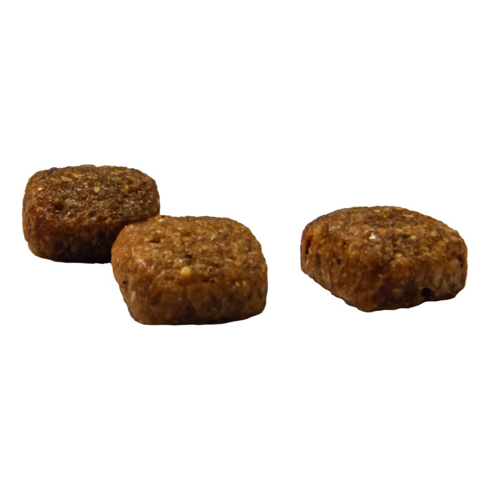 Prins VitalCare Senior - Kattenvoer - 4 Kilogram - gevogelte