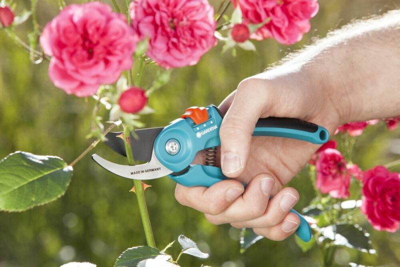 Gardena Classic B/S-M - Snoeischaar