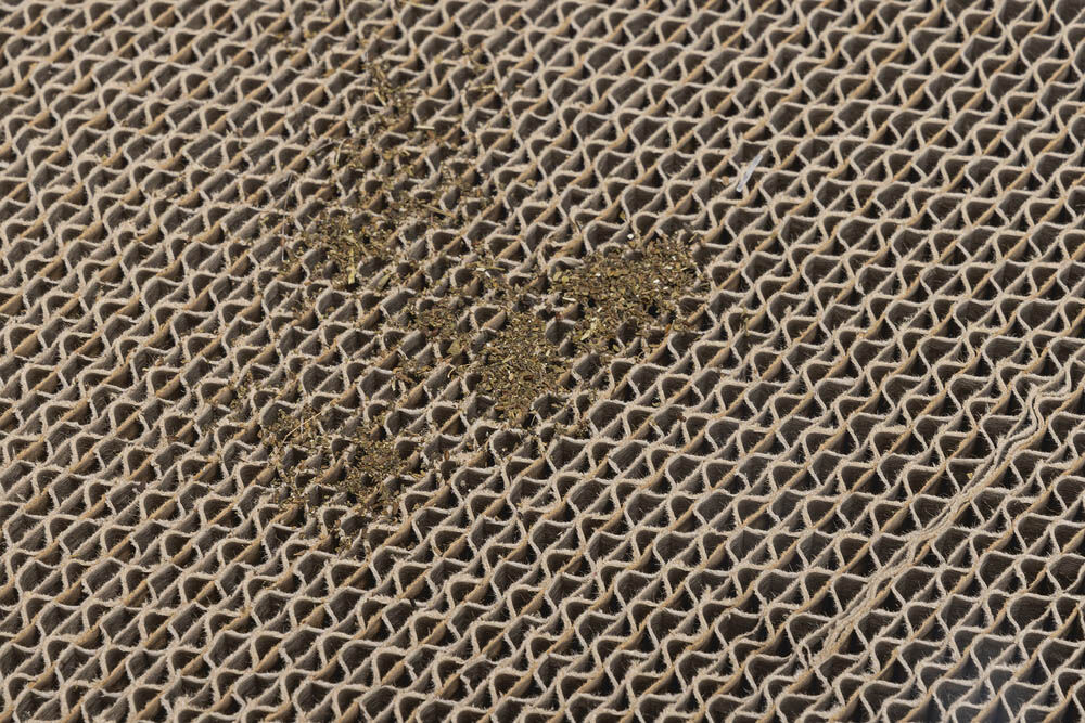 Beeztees krabsofa - Krabkarton - Wit Bruin - 1x49x1 cm