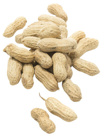 Welkoop Pinda's Ongepeld - Vogelvoer - 400 Gram