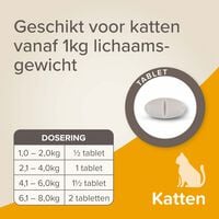 Beaphar all-in-one Tabletten - Ontwormen Kat en Kittens - 2 Stuks