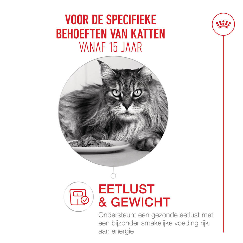 Royal Canin Ageing 15+ - Kattenvoer - 1 Gram