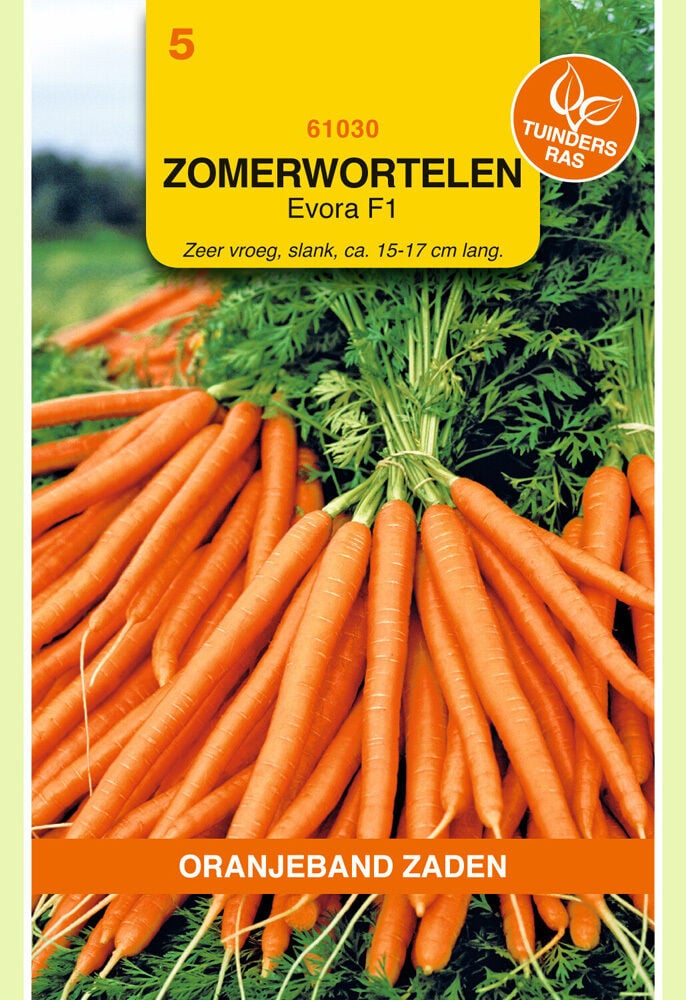 Oranjeband zaden Zomerwortelen Evora F1 - Groentezaden