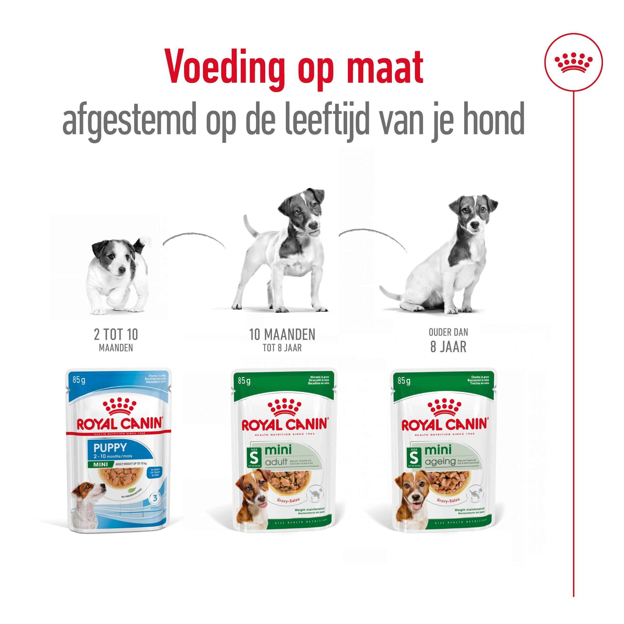 Royal Canin Mini Ageing - Hondenvoer - 12x85 gram - 1020 Gram - gevogelte